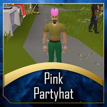 Pink Partyhat