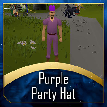 Purple Partyhat
